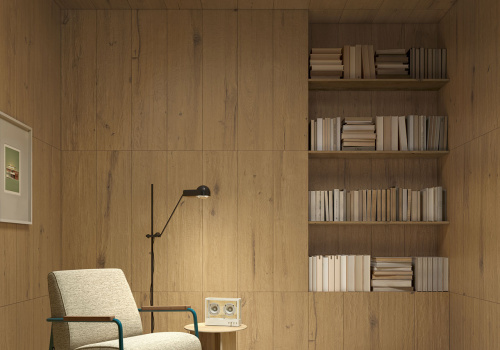 41862 Кора / BARK