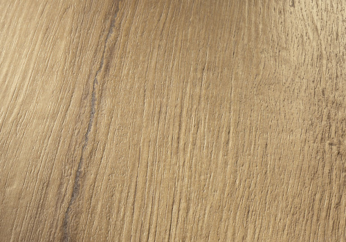 41862 Кора / BARK