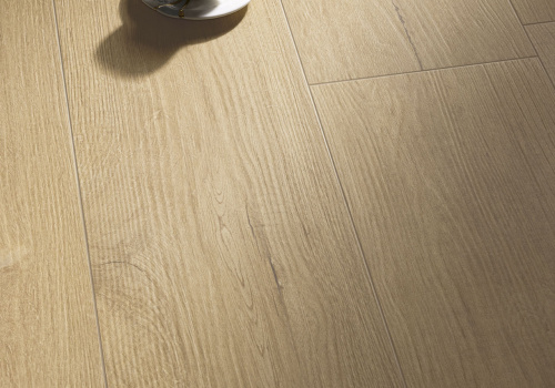 41862 Кора / BARK