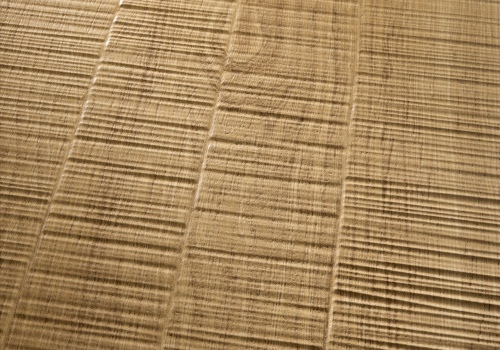 41862 Кора / BARK