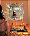 SICIS: Mirrors mosaic