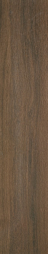 Timber brown AS 20x100 TIMBER LOVE TILES